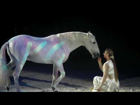 Youtube: Appassionata Voyage Firenze Balletto Cavallo Bianco Fantastic