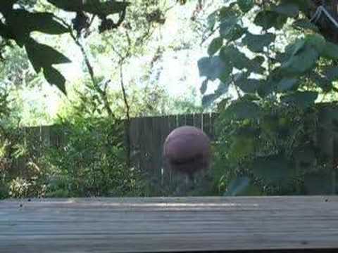 Youtube: Aphex Twin - Bucephalus Bouncing Ball