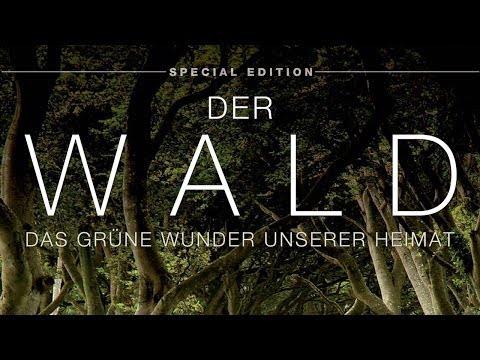 Youtube: Der Wald - Das grüne Wunder unserer Heimat (2012) [Dokumentation] | Film (deutsch)