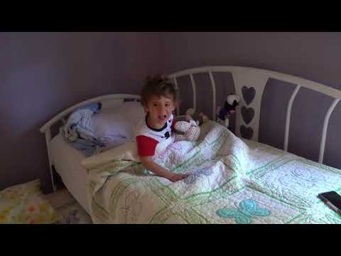 Youtube: HAPPY BIRTHDAY FAIL. We tried to bring Walter breakfast in bed - 1007419