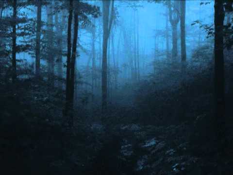 Youtube: Agalloch - Where Shade Once Was