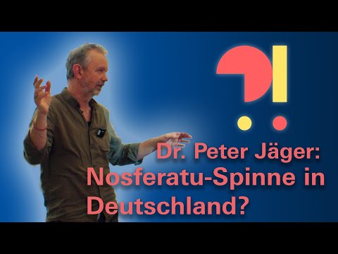 Youtube: Nosferatu-Spinne in Deutschland? - Wissenschaft Live mit Dr. Peter Jäger #5