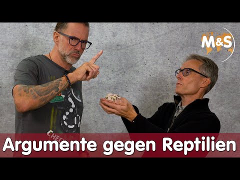 Youtube: Eltern von Reptil überzeugen! | 8 Argumente entkräftet | Reptil TV