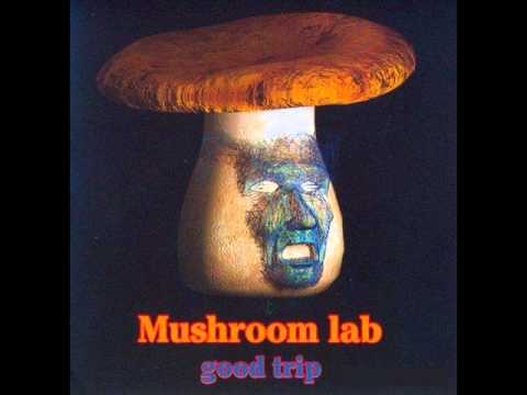 Youtube: Mushroom Lab - Flute Story