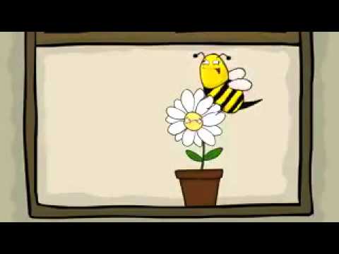 Youtube: Aufklärung Blumen und Bienen
