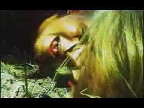 Youtube: Pitbull Daycare - "You Make Me Feel So Dead" Cleopatra Records