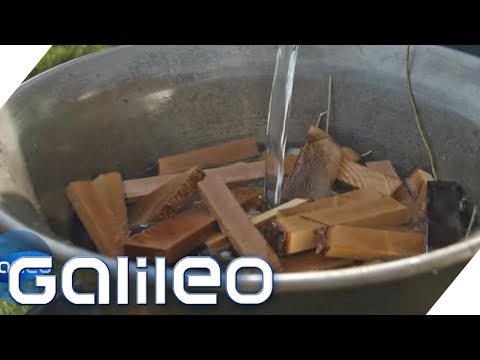 Youtube: Wood-Food: Essen aus Holz? | Galileo | ProSieben