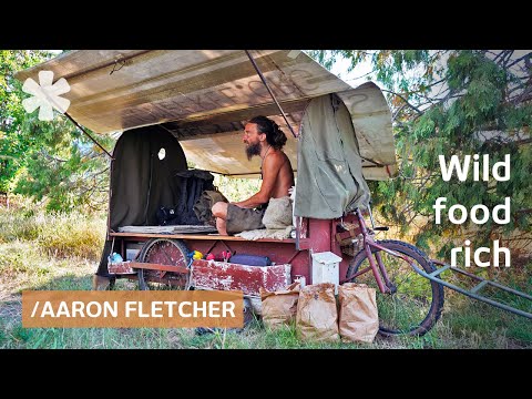 Youtube: Homeless shepherd shares hunter-gatherer diet & survival tips