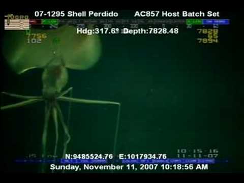 Youtube: Creature 7800 feet underwater in Gluf Of Mexico