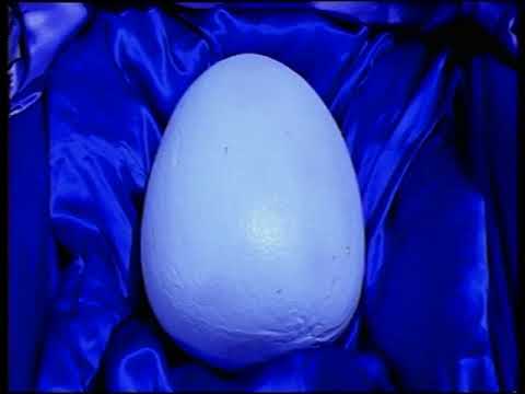 Youtube: Grant Lee Buffalo - Mockingbirds (Official Music Video)