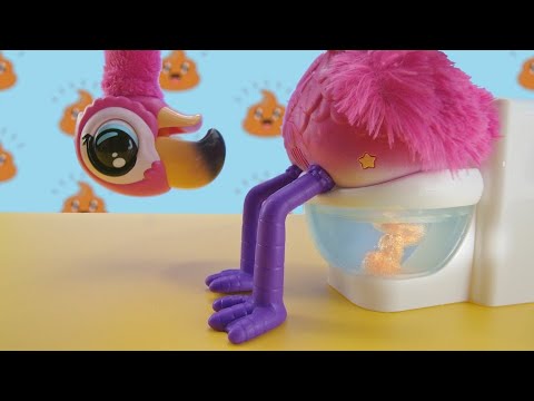 Youtube: Little Live Pets | Gotta Go Flamingo | TVC 30