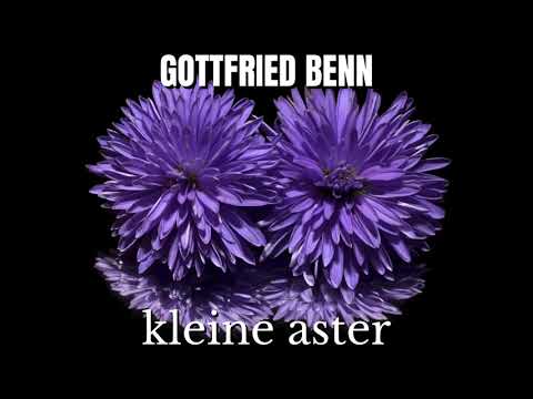 Youtube: Gottfried Benn: Kleine Aster | Hörbuch deutsch