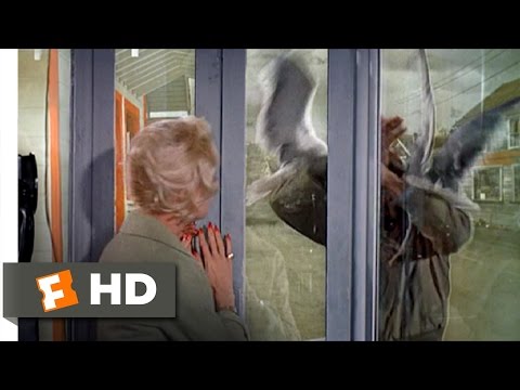 Youtube: The Birds (8/11) Movie CLIP - Trapped in a Phone Booth (1963) HD