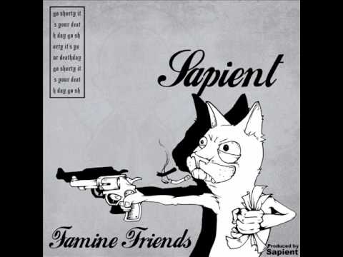 Youtube: Sapient - Hate Aside Remix ft. Sandpeople