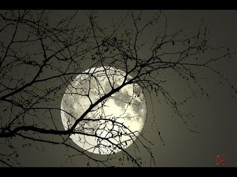 Youtube: Silent Moon ~宁月~   by Jia Peng Fang