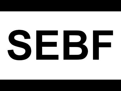 Youtube: SEBF
