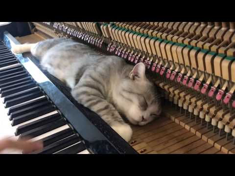 Youtube: Merry go round of life   Howl's moving catsle OST for Meow