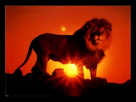 Youtube: Rebelution - Heart like a lion (HQ and lyrics)