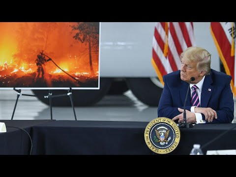 Youtube: Donald Trump über Klimawandel: „Ich glaube, die Wissenschaft weiß nicht Bescheid“