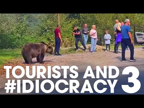 Youtube: Tourists and #IDIOCRACY 3