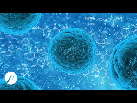 Youtube: Anti Virus Frequenz - Immunsystem Booster - Reinige Infektionen, Viren, Bakterien, Pilze