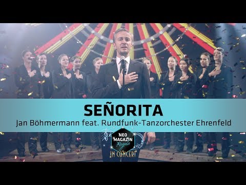 Youtube: Kay Boehm - Señorita [Cover] | Neo Magazin Royale mit Jan Böhmermann - ZDFneo