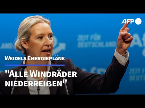 Youtube: Weidel bei AfD-Parteitag: "Werden alle Windräder niederreißen" | AFP