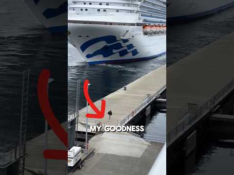 Youtube: Missed the Cruise? What Happens Next is Unreal! #viralshorts