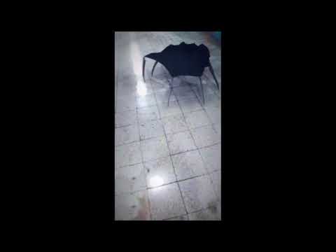 Youtube: Umbrella spider with sound