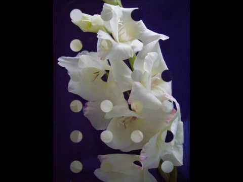 Youtube: Tschaikowsky - Waltz of the flowers