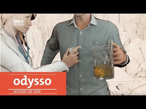 Youtube: Wie sich der Körper vom Alkohol erholt | SWR Wissen