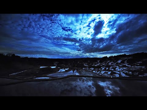 Youtube: SCHILLER -Polarstern