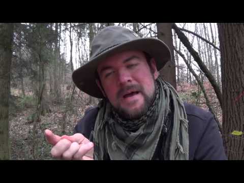 Youtube: Die Notdurft im Walde!
