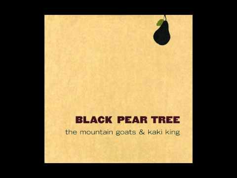 Youtube: Thank You Mario But Our Princess Is In Another Castle - The Mountain Goats & Kaki King