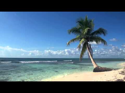 Youtube: ♥♥ Relaxing 3 Hour Video of Tropical Beach with Blue Sky White Sand and Palm Tree