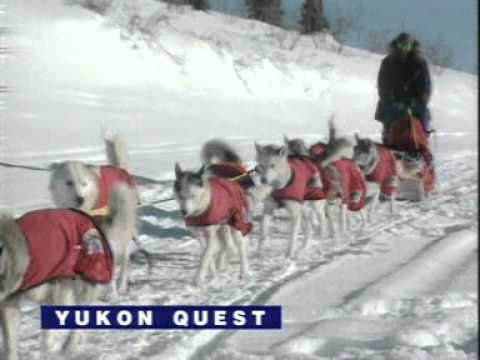 Youtube: Yukon Quest in Alaska - Hundeschlitten-Rennen