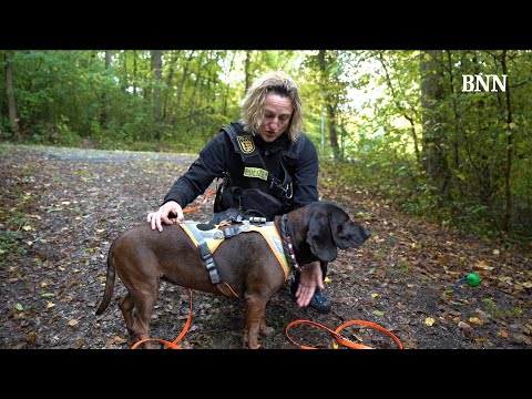 Youtube: Besuch bei den Mantrailer-Hunden der Polizei in Göppingen