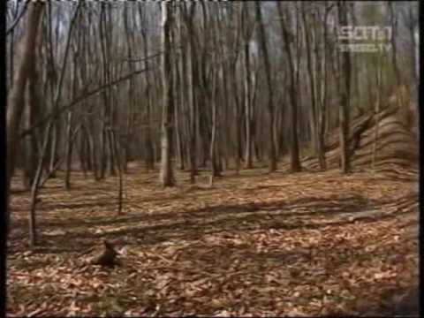 Youtube: Abrisskommando Westwall - Spiegel TV - 3v4 - destruction of Siegfriedline 2003
