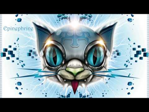 Youtube: Space Cat - Epinephrine
