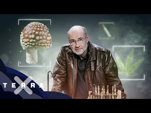 Youtube: Drogen – Eine Weltgeschichte (1/2) | Ganze Folge Terra X mit Harald Lesch