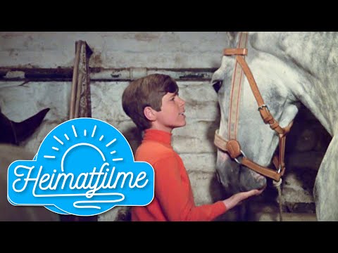 Youtube: Heintje | Mamatschi, schenk' mir ein Pferdchen | Ein Herz geht auf Reisen | 1969 HD