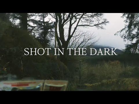 Youtube: Kingfishr - Shot In The Dark (Official Lyric Video)