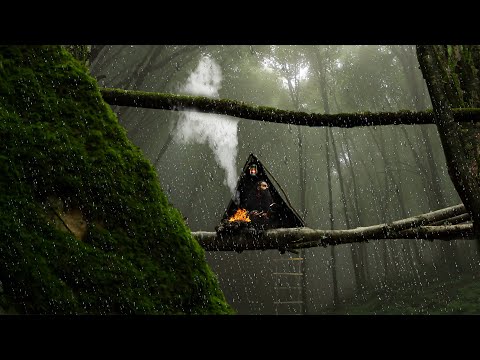 Youtube: 3 Days SOLO in FOGGY VALLEY , on the tree , rain , cooking , build