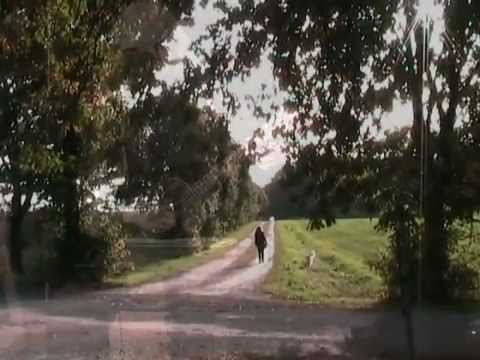 Youtube: Das Laub fällt von den Bäumen - Herbstlied (Ukulele, Gesang)