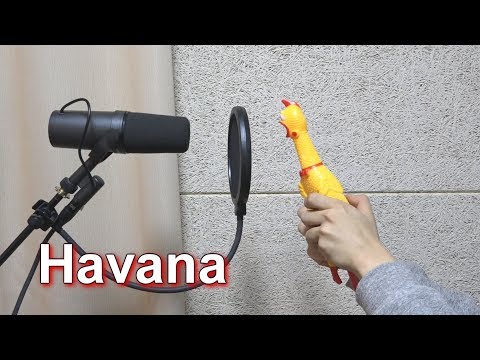 Youtube: Camila Cabello - Havana 'Chicken Cover'
