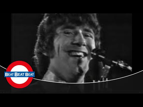 Youtube: The Tremeloes - Here Comes My Baby (1967)