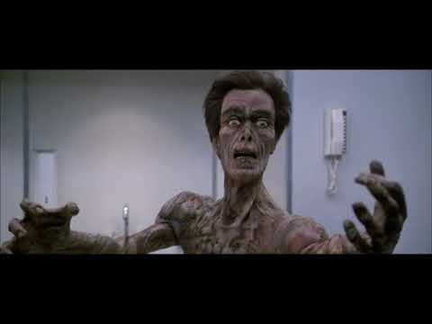 Youtube: My PRACTICAL EFFECTS TRANSFORMATION - LIFEFORCE