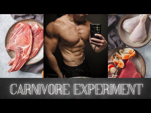 Youtube: Week 6 Recap of Carnivore Experiment 3.0