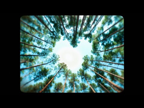 Youtube: Pete Yorn - Real Good Love (Official Visualizer)