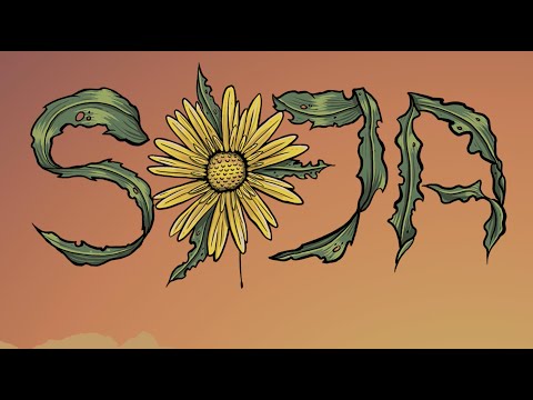 Youtube: SOJA - Things You Can't Control (Official Lyric Video)